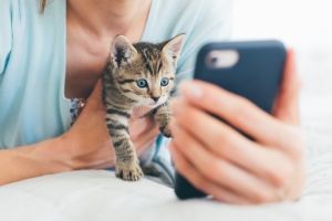 Švenčiame tarptautinę kačių dieną: kaip technologijos revoliucionavo murkiančių draugų priežiūrą?