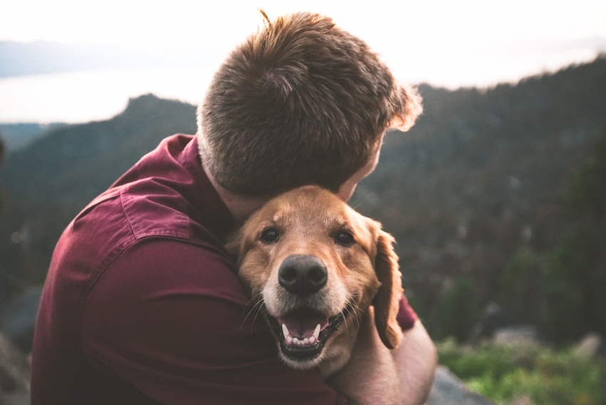 Geriausio žmogaus draugo diena: 5 išmanūs patarimai auginantiems šunis