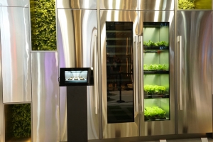 LG sukūrė pirmąjį prietaisą, skirtą daržovėms auginti namuose