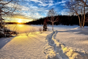 Žiemos grožis nuotraukose – ką reikėtų žinoti norint jį užfiksuoti išmaniuoju telefonu?